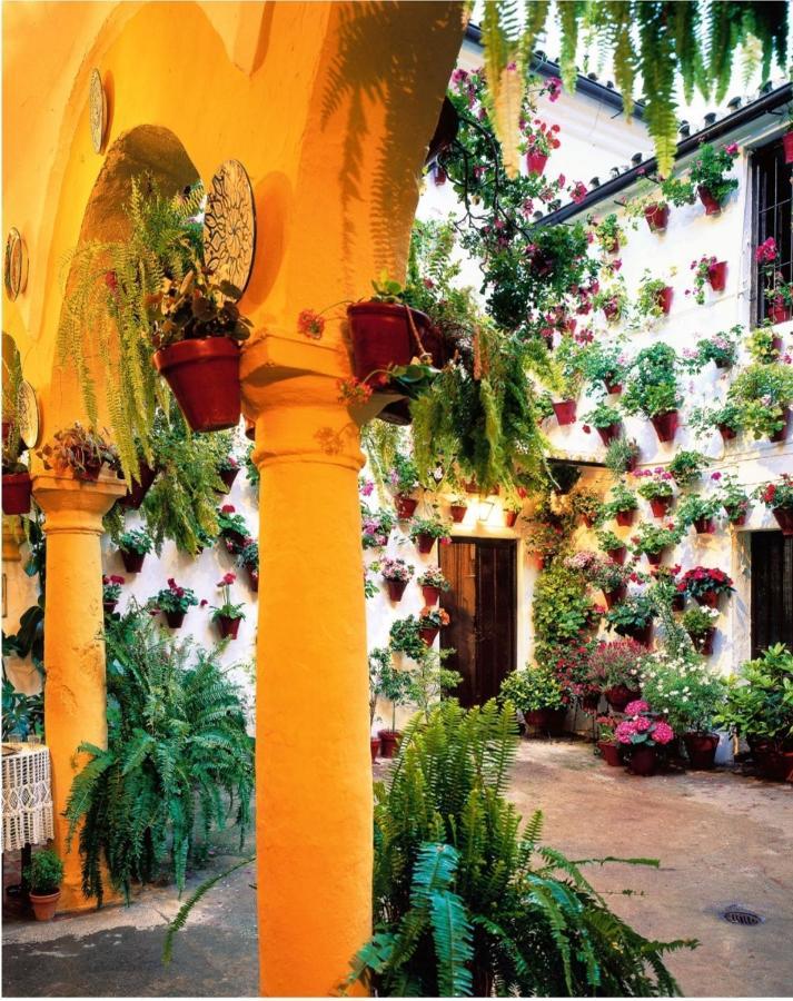 Апартаменти La Terraza Del Puente Y Mezqt-Catedral Кордова Екстер'єр фото