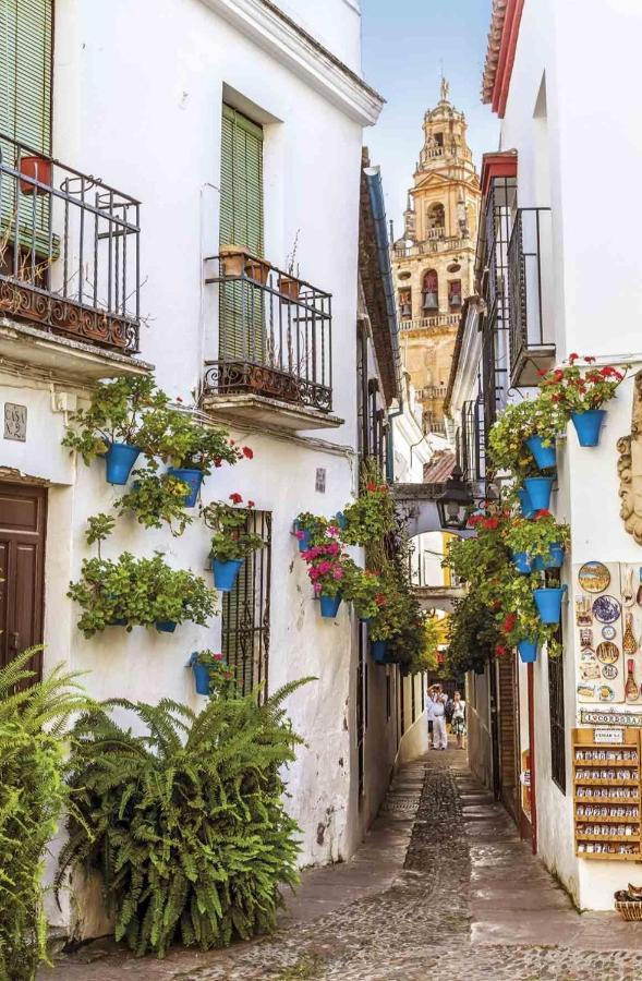 Апартаменти La Terraza Del Puente Y Mezqt-Catedral Кордова Екстер'єр фото